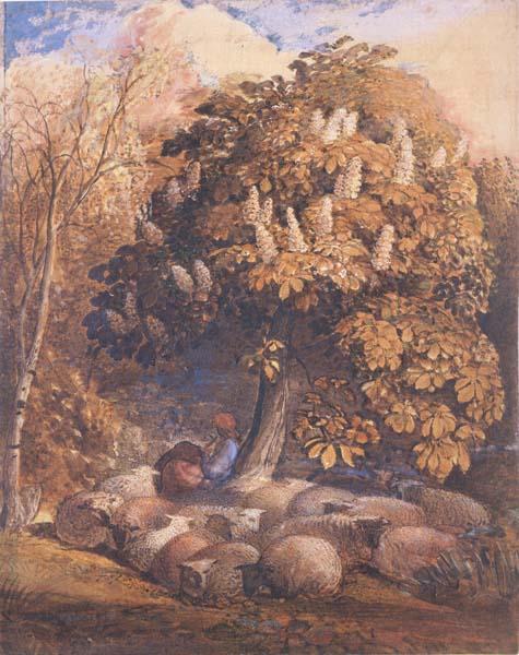 Samuel Palmer Pastoral with a Horse Chestnut Tree